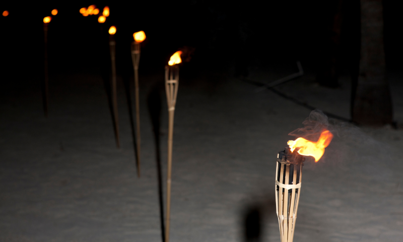 Descente en torches au jardin des Neiges | hiver