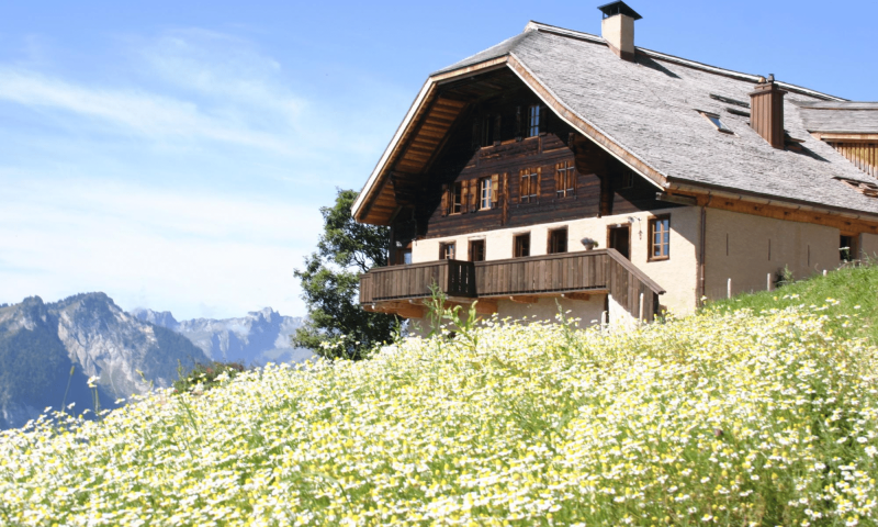 view on the chalet and flower gardens of the Jardin des Monts - Summer - Rossinière - Jardin des Monts