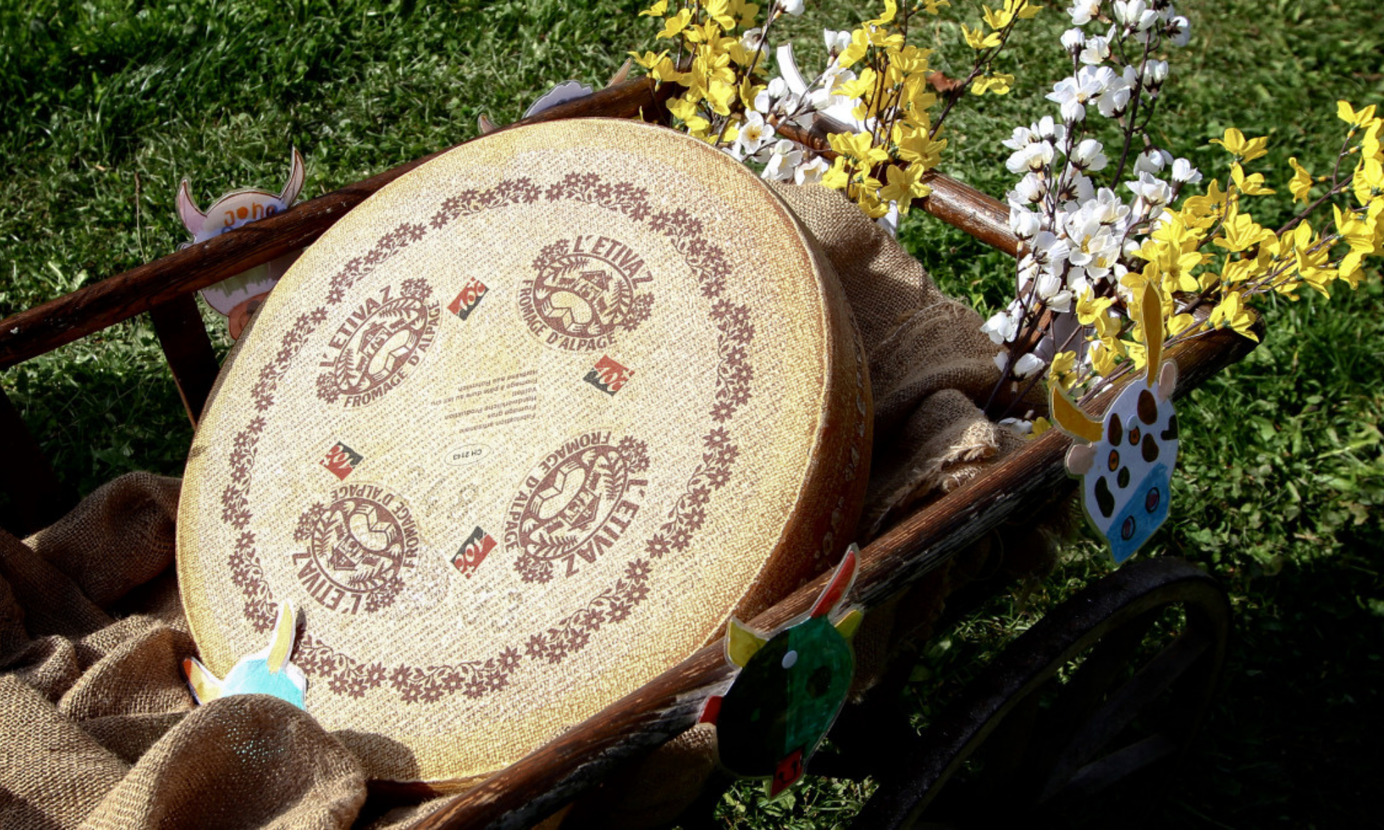 meule à fromage de l'Etivaz - pas de saison - Pays-d'Enhaut - Pays-d'Enhaut Région
