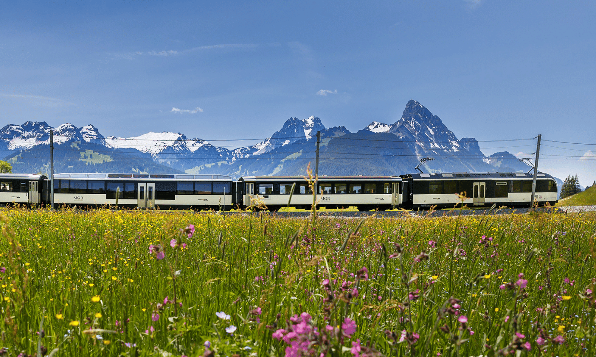MOB Goldenpass Panoramic with snow-capped mountains - Spring - Saanen - MOB-Goldenpass