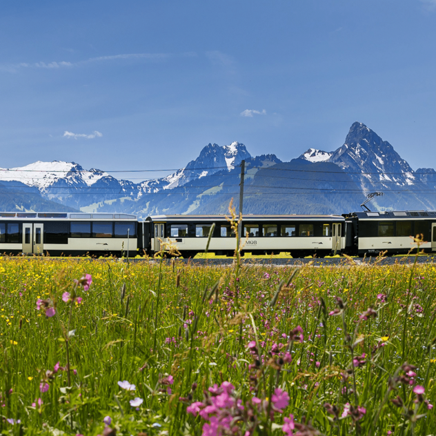 MOB Train Montreux-Oberland Bernois