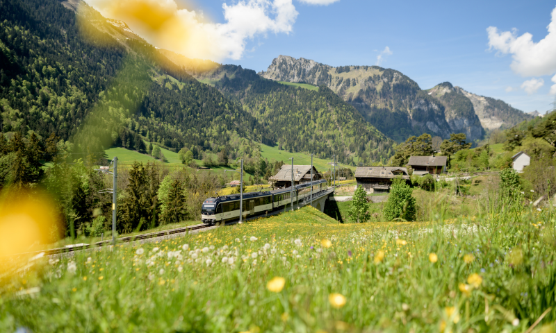 Vue sur trains MOB - printemps / été - Rossinière - (C) Raphael Dupertuis