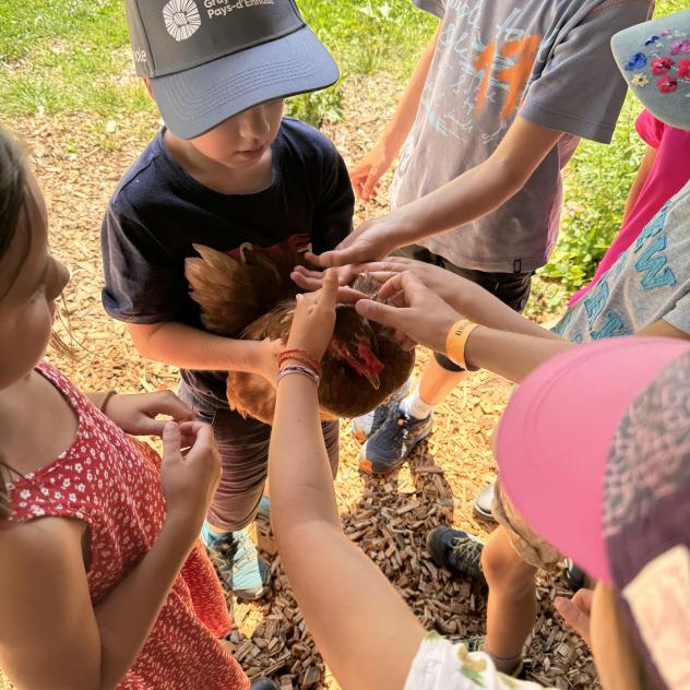 Mini-farmers' Wednesdays