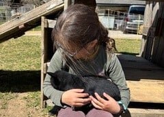 Mini Farmers' Wednesday