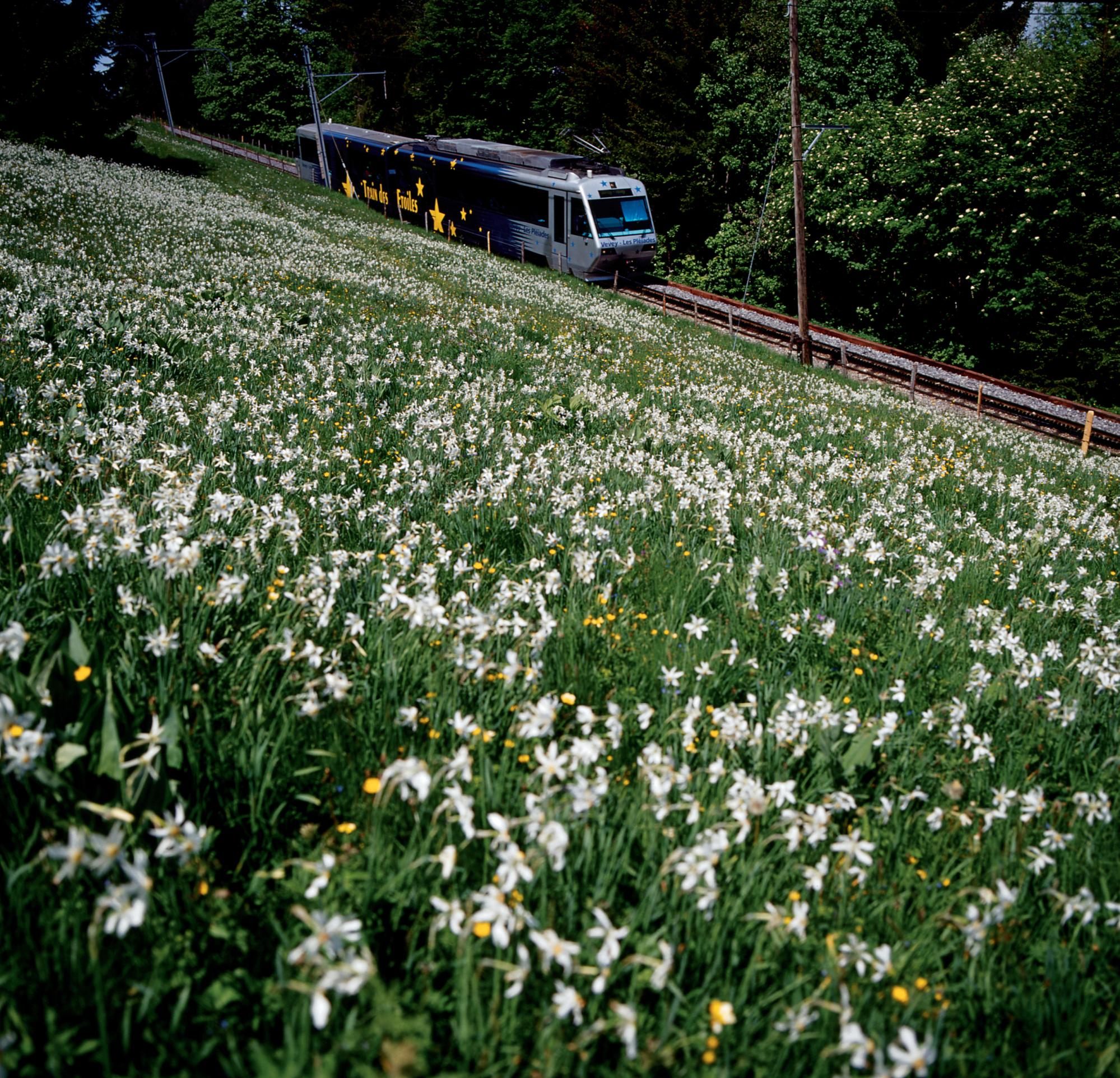 The Star Train, Vevey - Les Pléiades