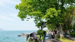 Die Uferpromenade von Montreux