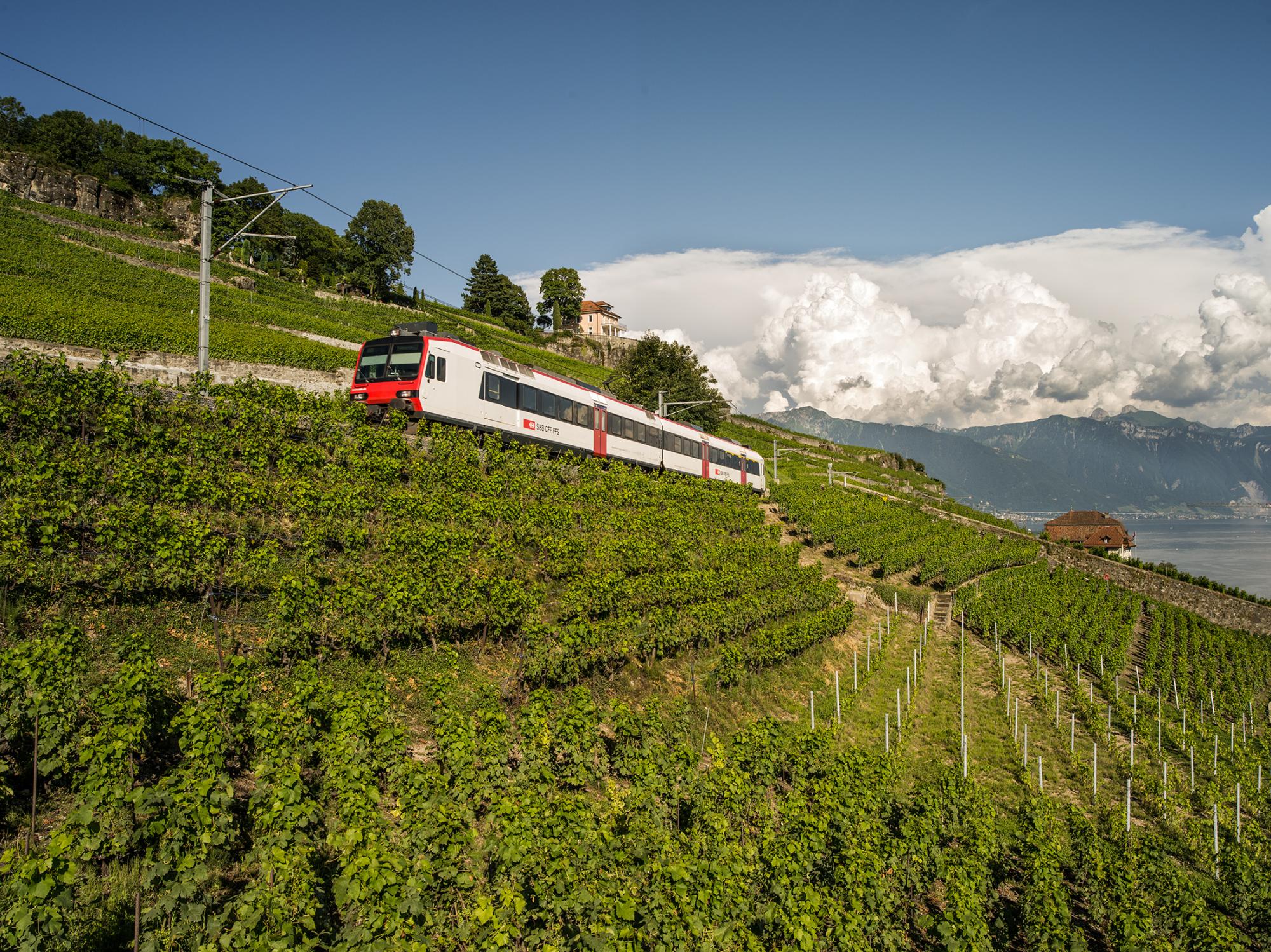 Train des Vignes de Vevey à Puidoux