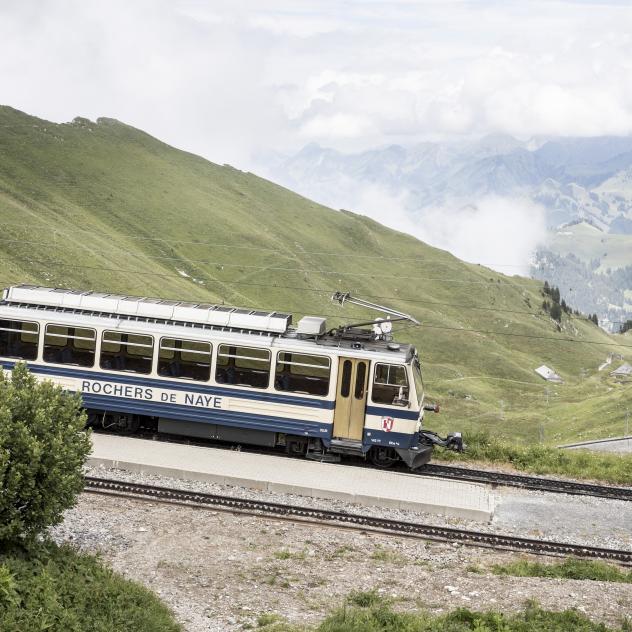 Die Zahnradbahn Montreux - Rochers-de-Naye