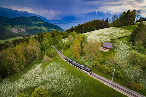Train des étoiles