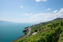 The work of a wine producer in Lavaux