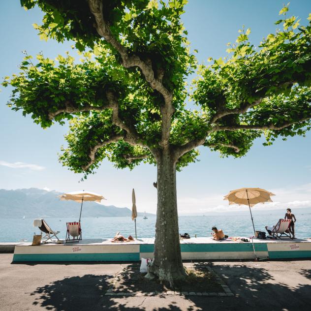 TourdePeilz Deck Montreux Riviera