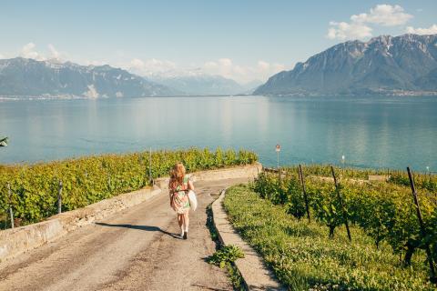 Mein Tag in Lavaux