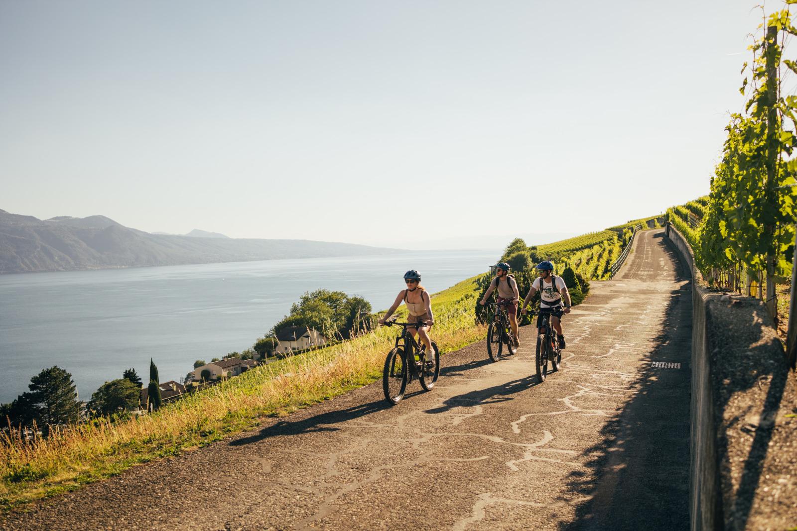 Lavaux Velo Bikapa
