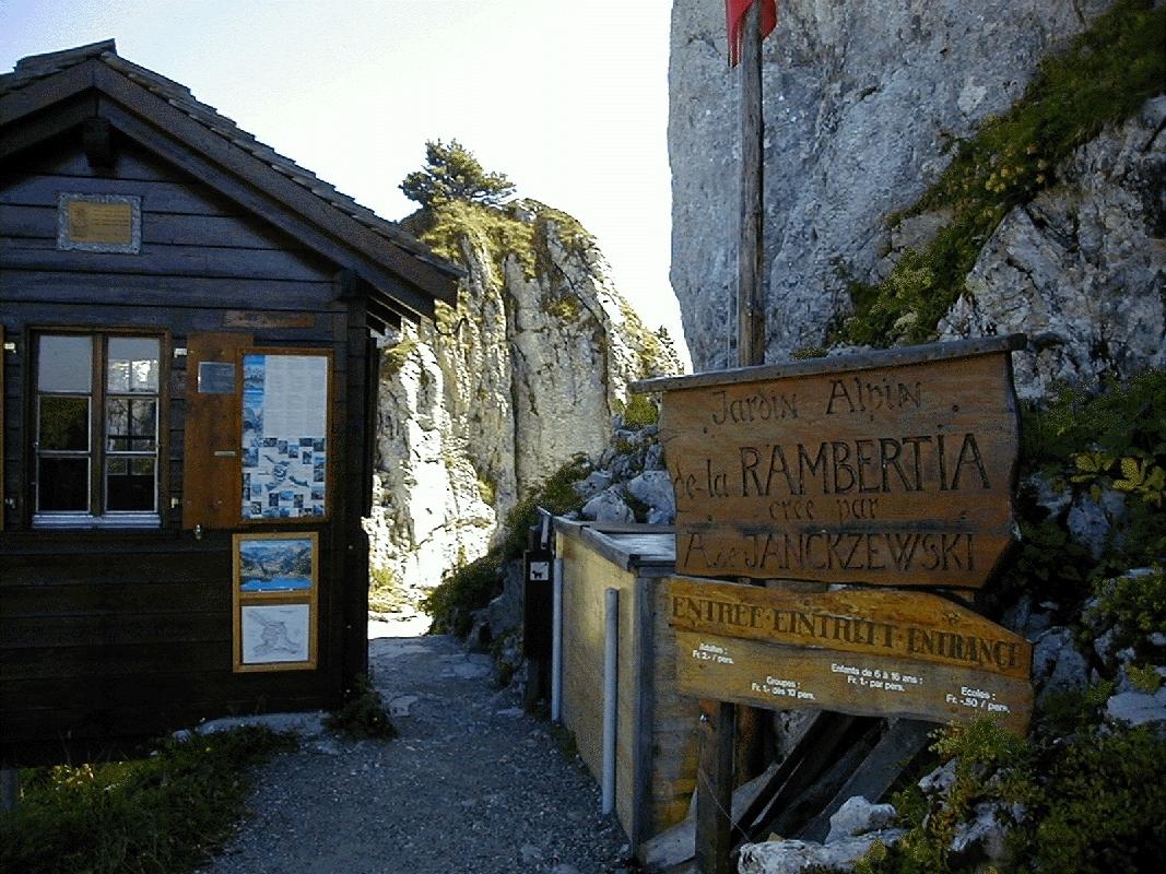La Rambertia, jardin botanique alpin