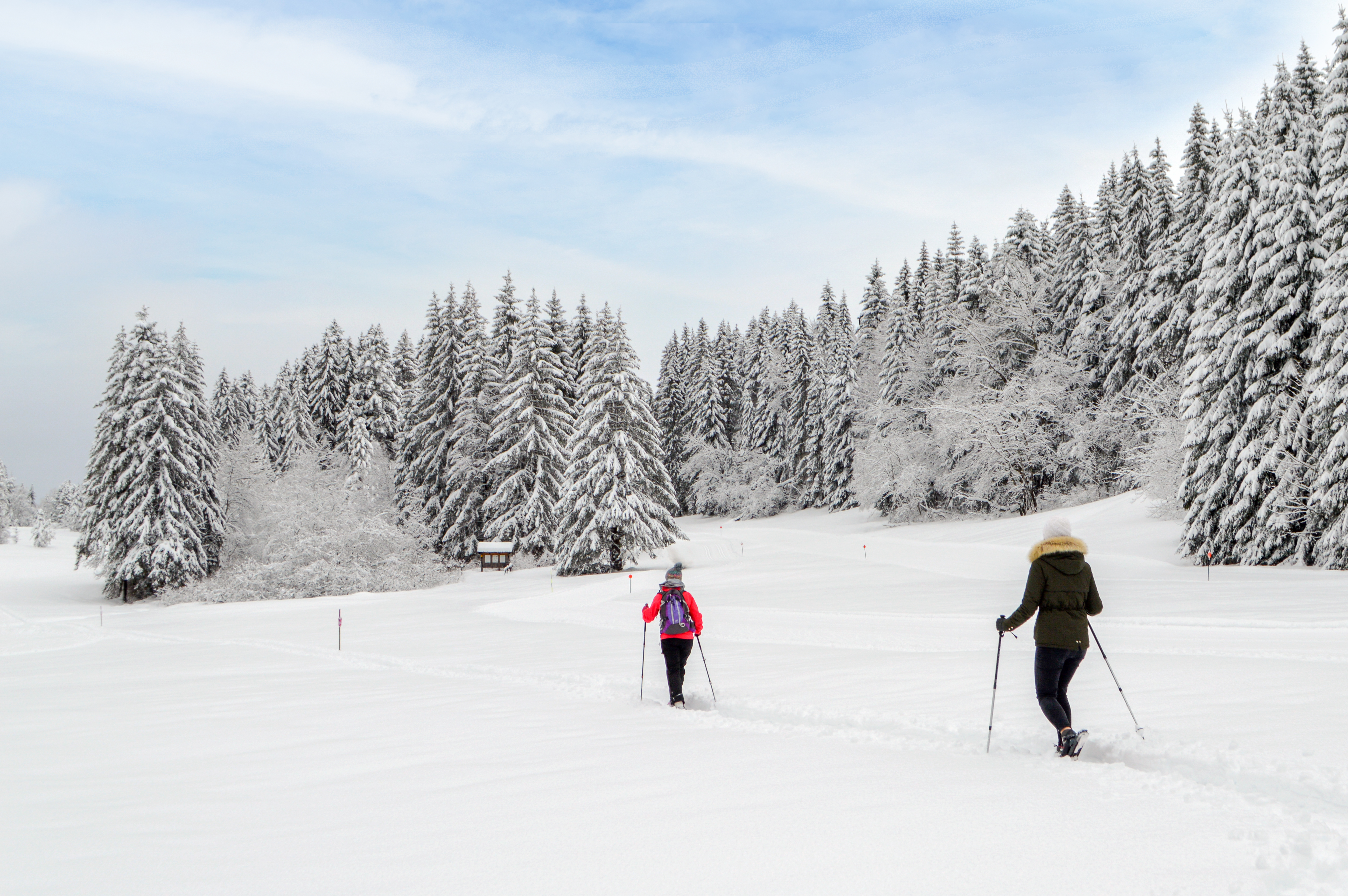 Raquettes à neige aux Pléiades dans un paysage enneigé