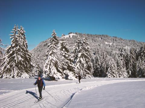 Ski de fond - Les Pléiades