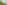 Fullscreen Header Image