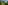 Fullscreen Header Image