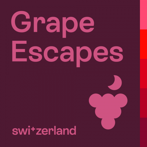 grape-espaces-logo