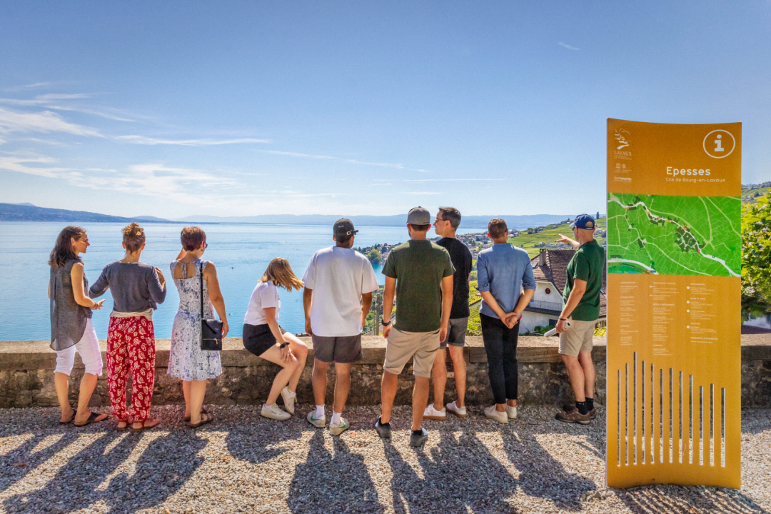 Private tours and group tours of Lavaux Montreux Riviera