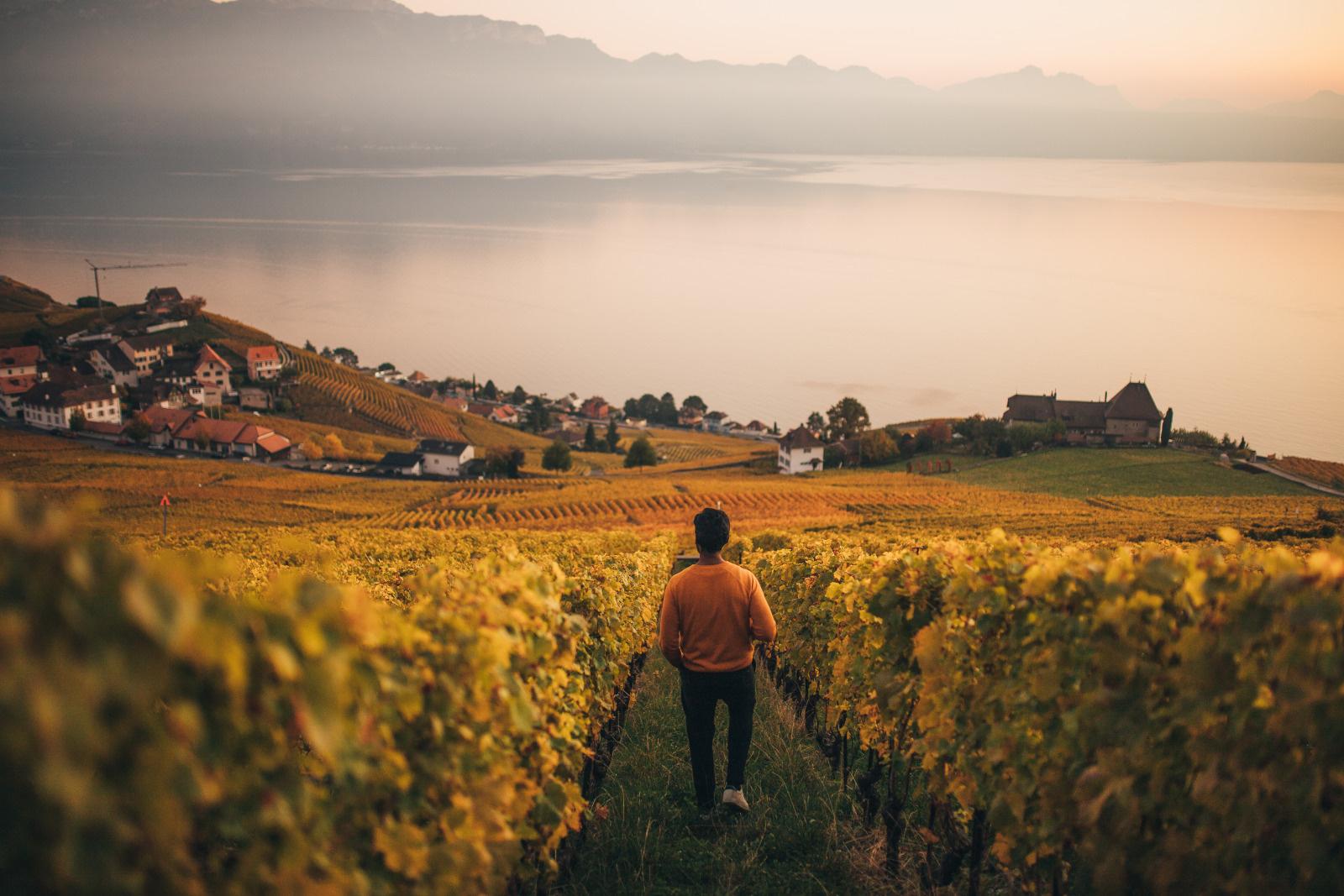 Automne Vue