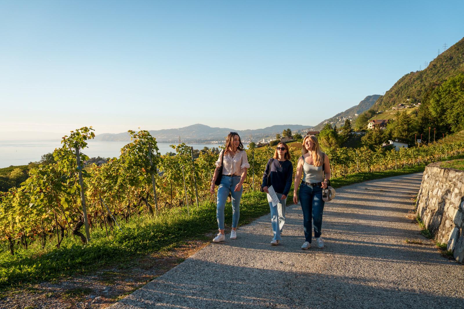 Domaine Bertholet - Balade