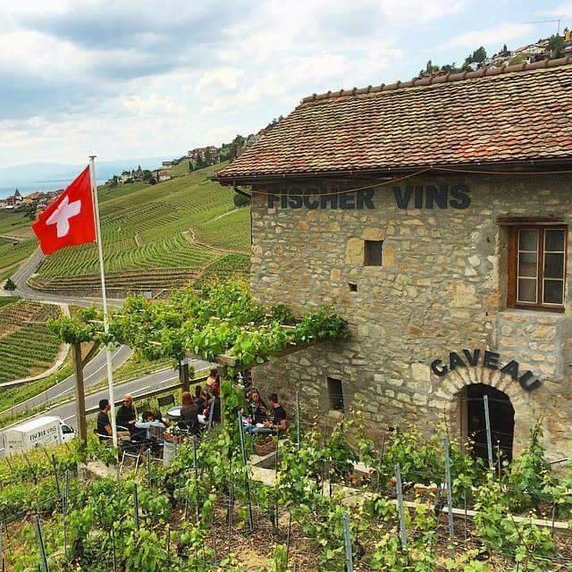 Terrasse CaveauSt-Amour à Chenaux