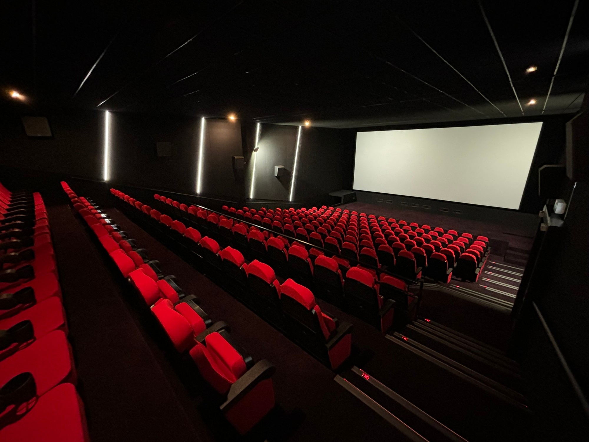 Capitole_Cinema_Nyon (8).JPEG