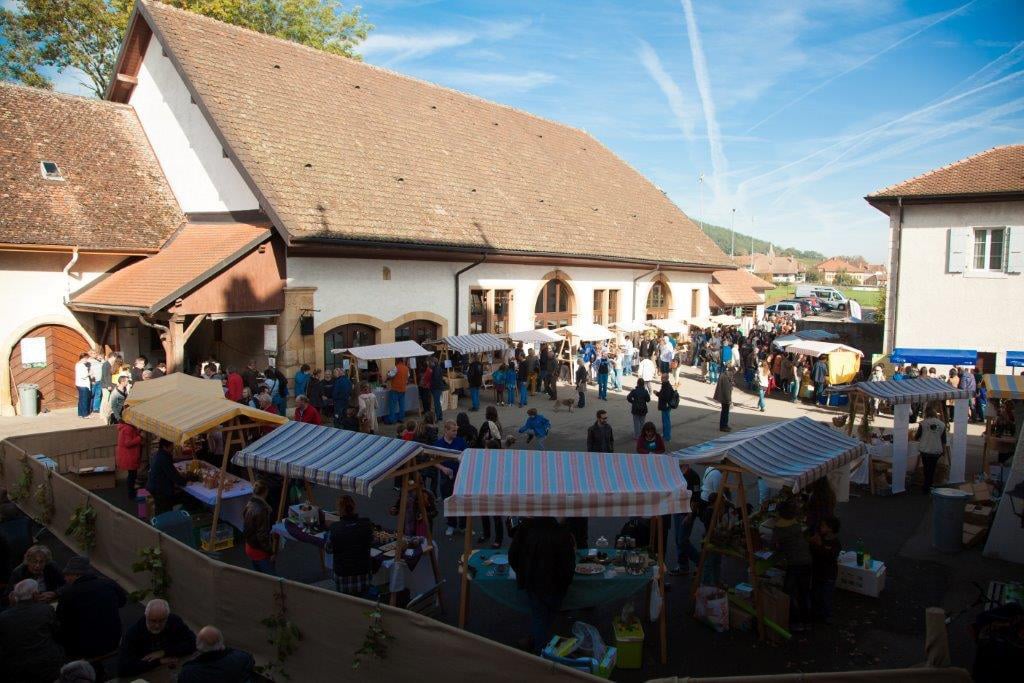 Marche_truffes_Bonvillars_ambiance_08.jpg