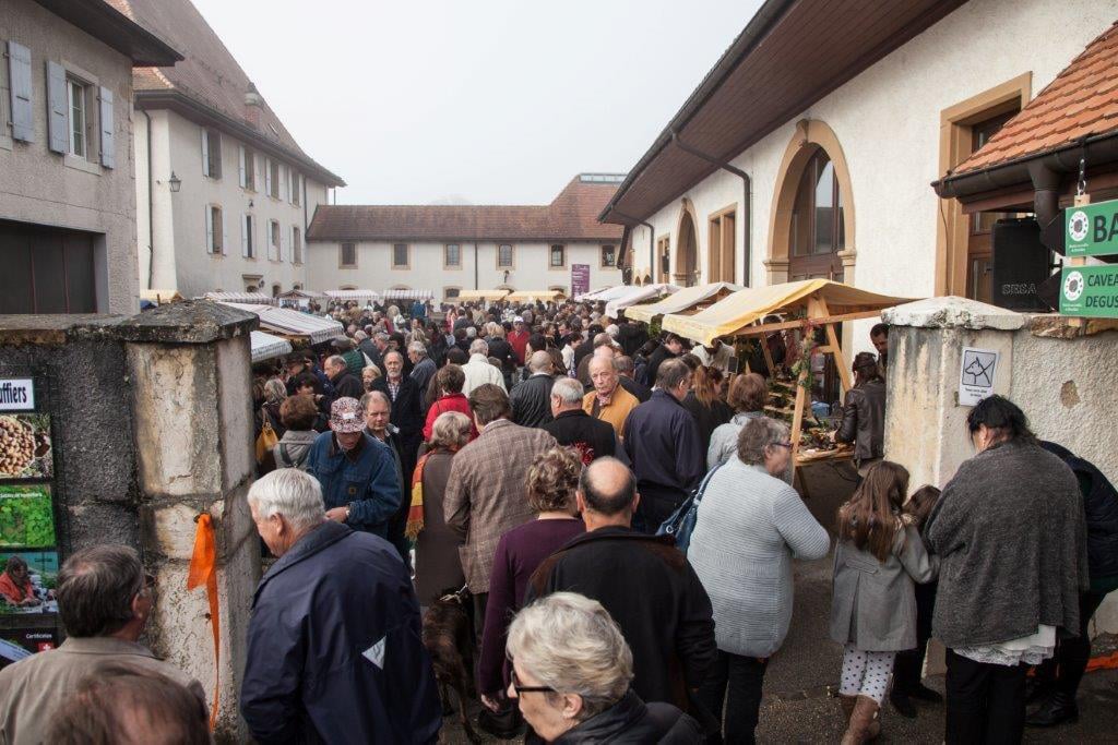 Marche_truffes_Bonvillars_ambiance_07.jpg