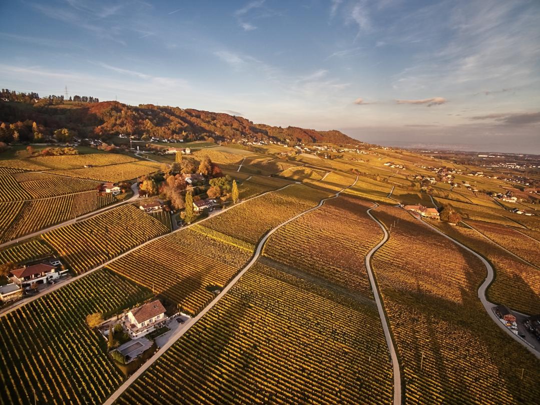 Domaine de Beauregard- vue aérienne