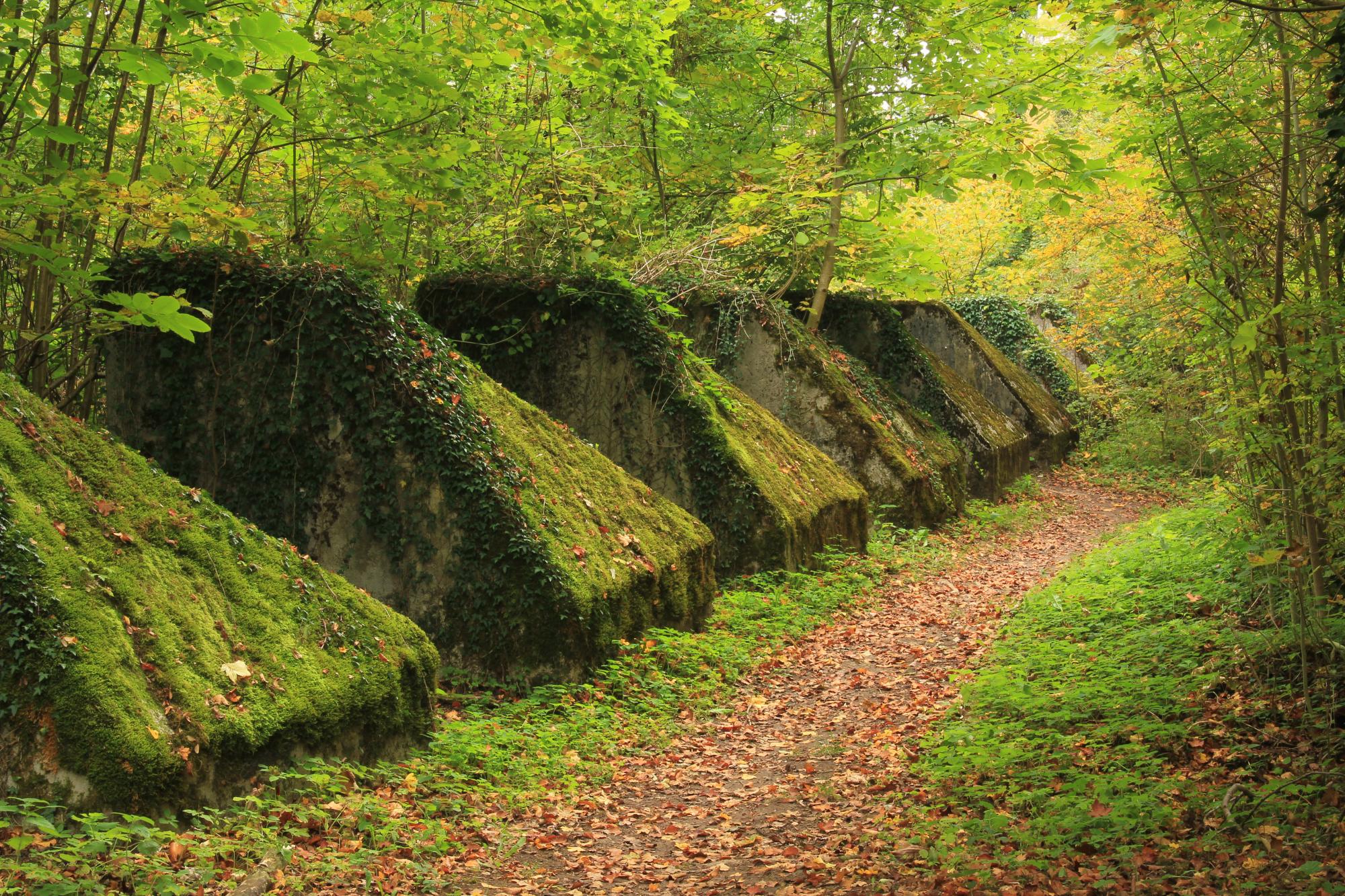 Sentier des Toblerones