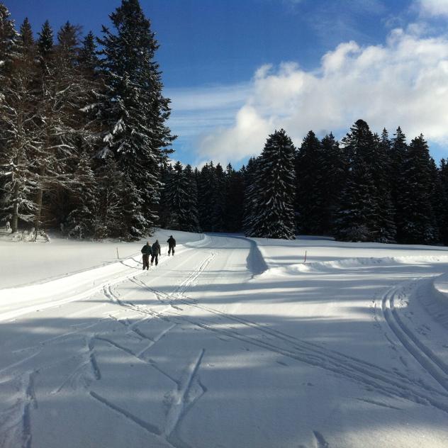 Cross-country skiing - La Givrine - La Cure