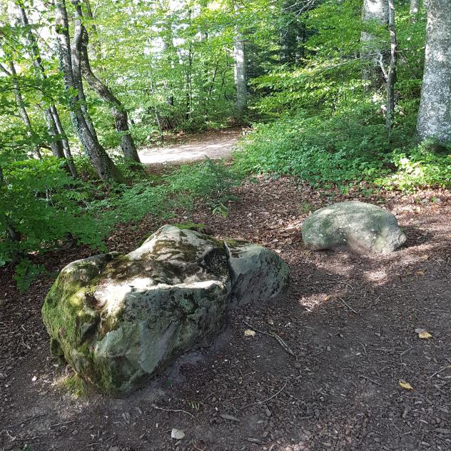 The Stone Trail - Burtigny
