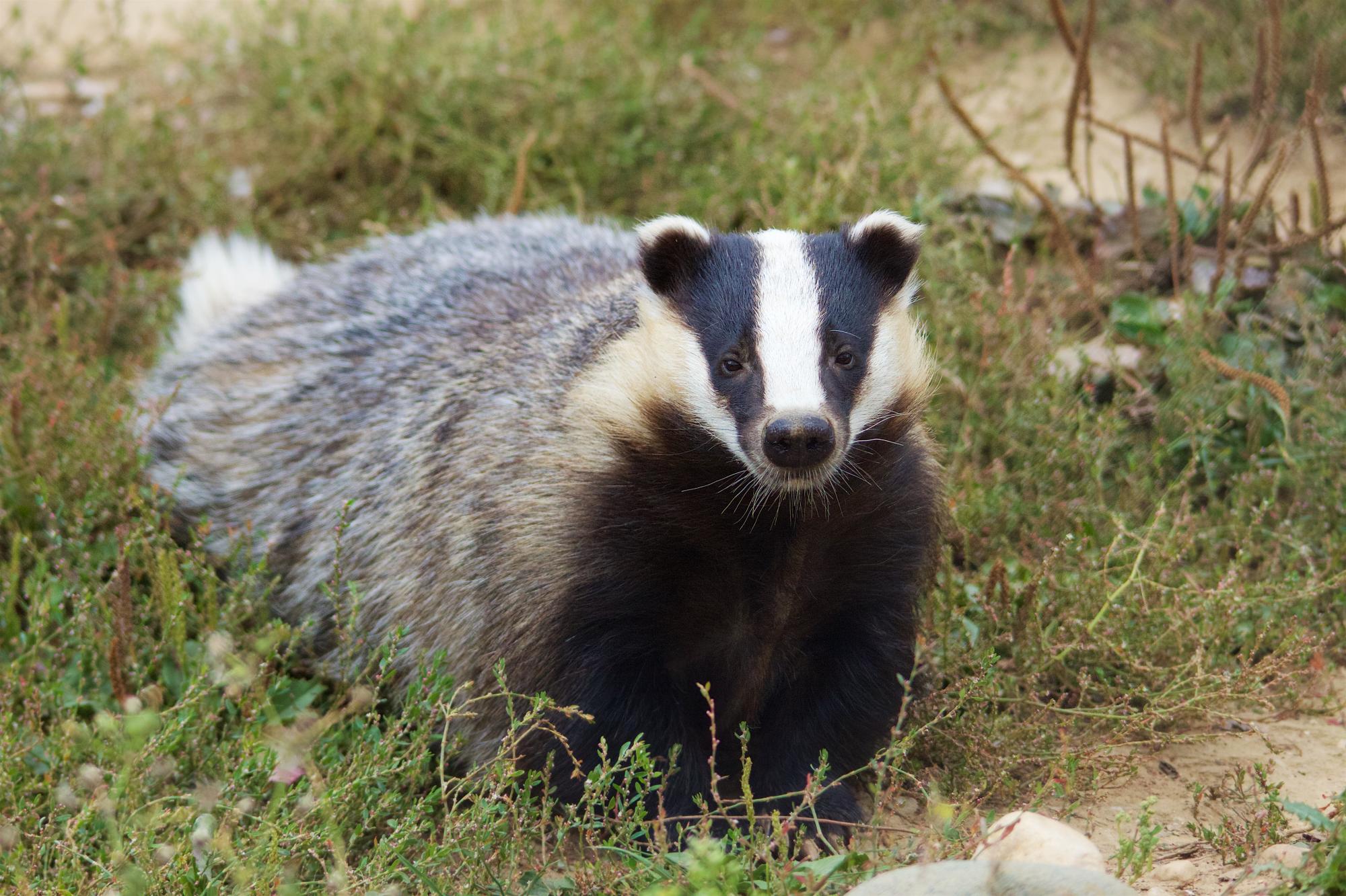 Parc Animalier La Garenne 2019