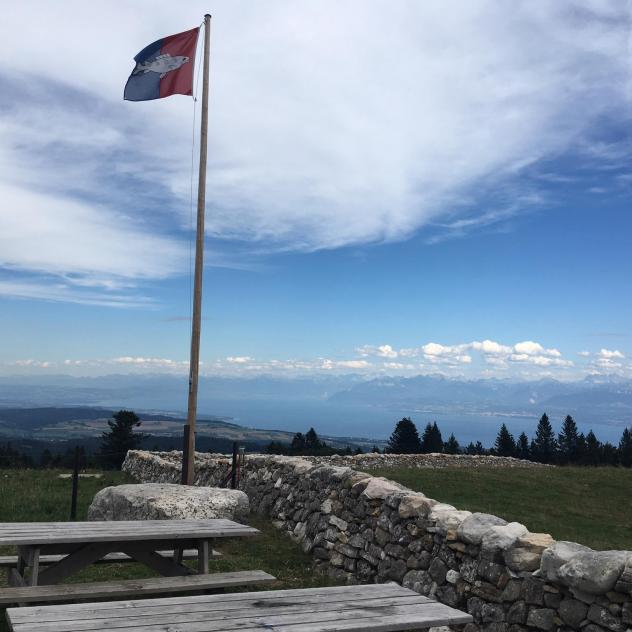 Trail running 10 km - around St-Cergue