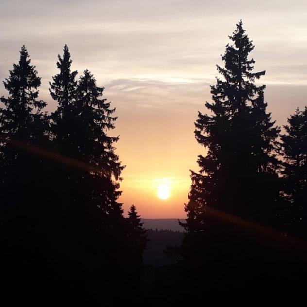 20 km trail running in the heart of the Jura Vaudois