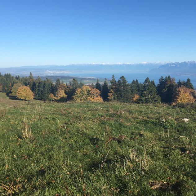 30 km für Trailrunning-Liebhaber in der Jura