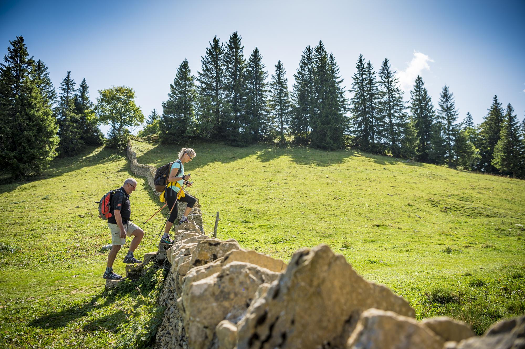 Nature & Découvertes - Enjoy Lausanne