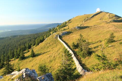la Dôle