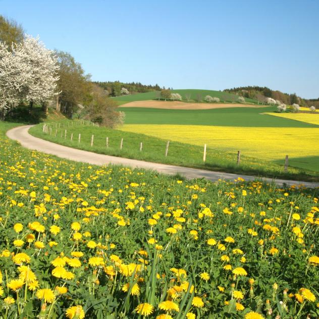 Along the Asse and the Boiron by bike