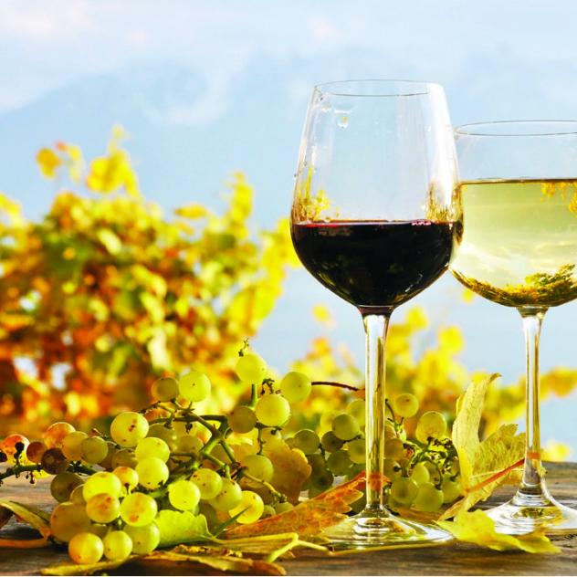 Wein und Gastronomie