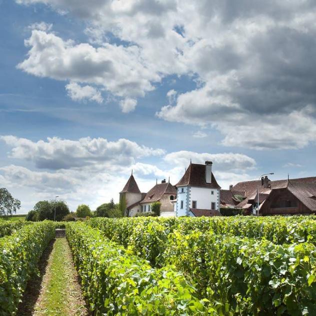 Duillier Castle - Duillier