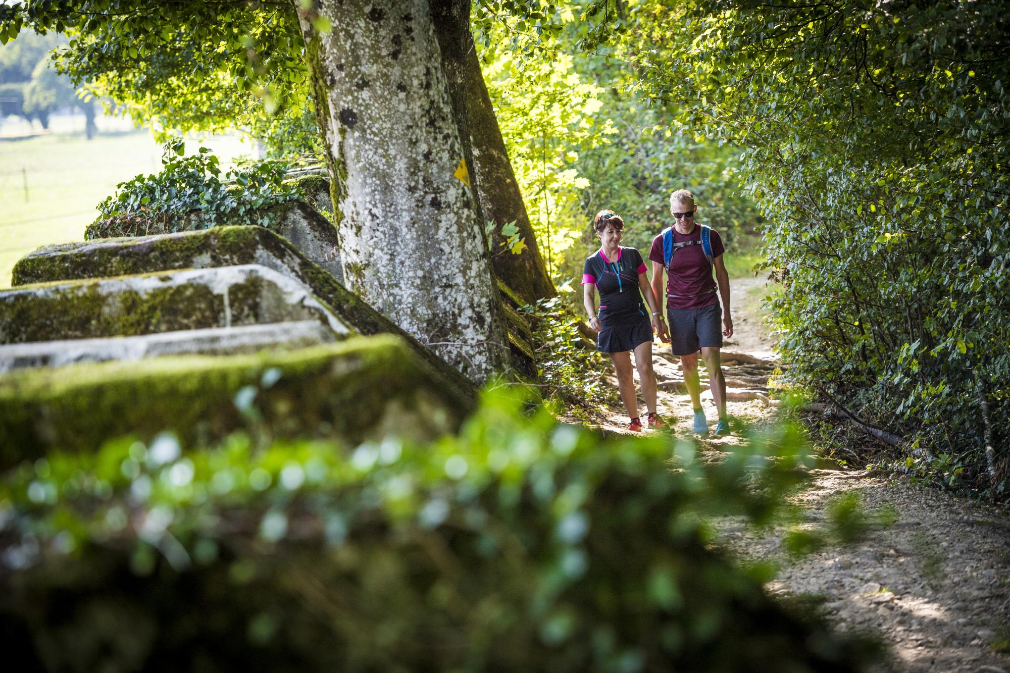 Sentier Toblerones