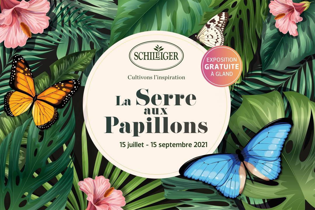 La serre aux papillons chez Schilliger La Côte Tourisme (Suisse) La serre aux papillons chez Schilliger La Côte Tourisme (Suisse)
