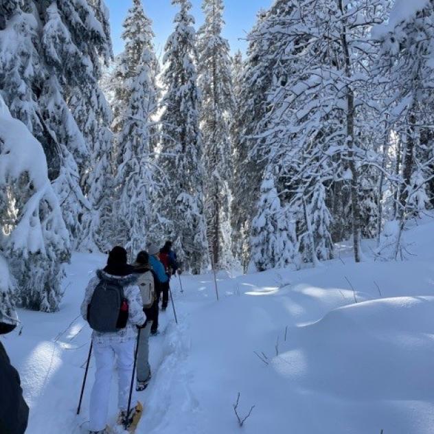Discovery and initiation to snowshoeing