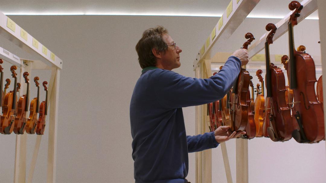 La symphonie des arbres