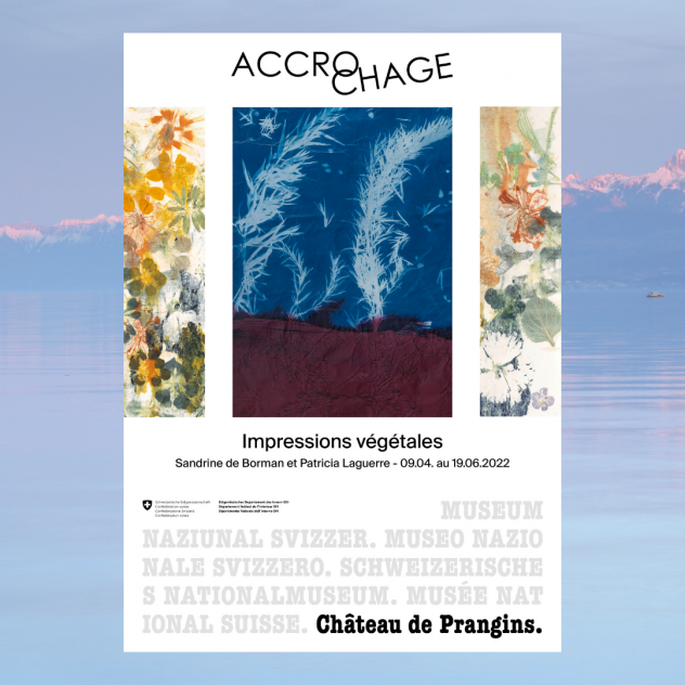 Accrochage - Impressions végétales