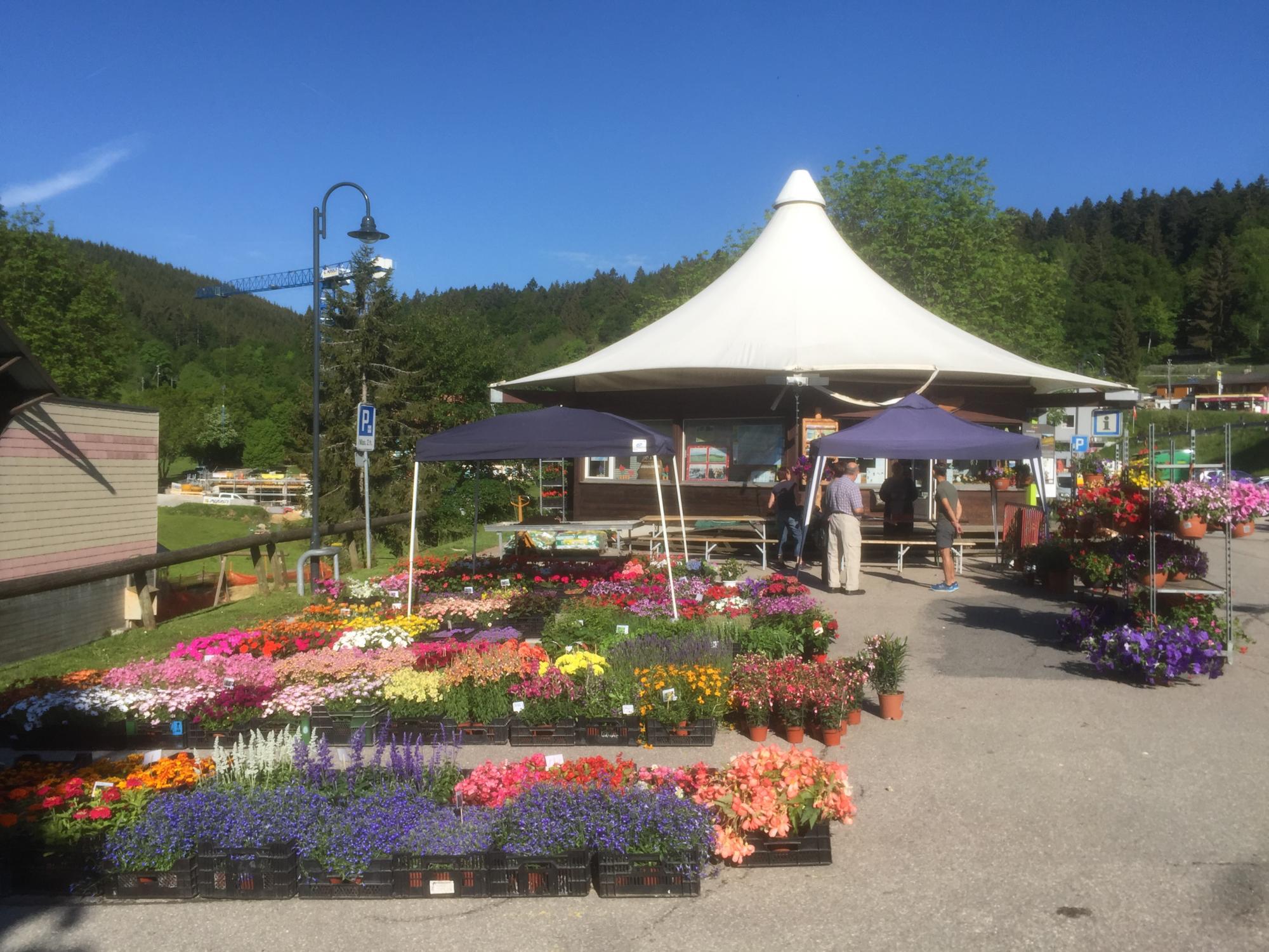 marché aux fleurs