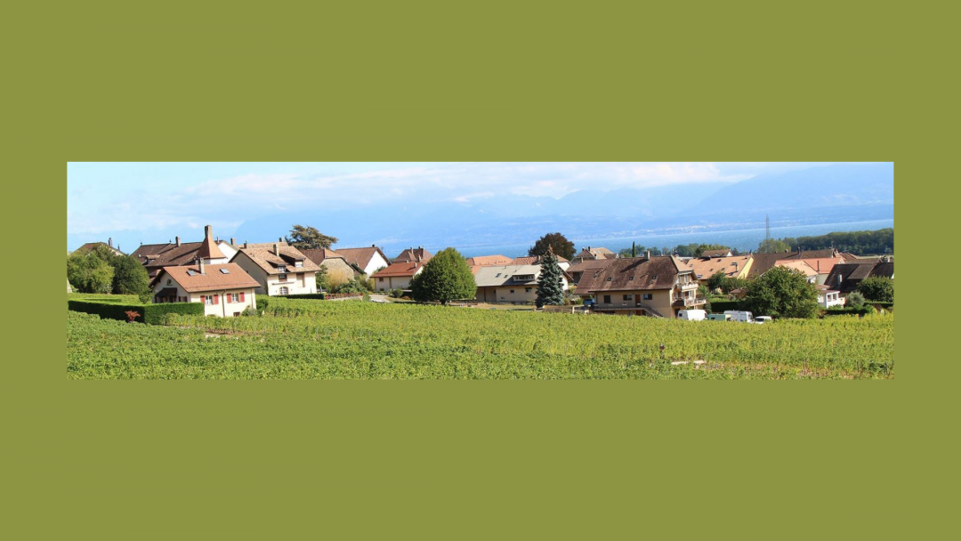 Domaine de la Corbière